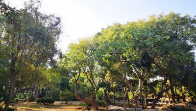 Η Πολιτική Προστασία της Περιφέρειας Κρήτης στο φεστιβάλ 