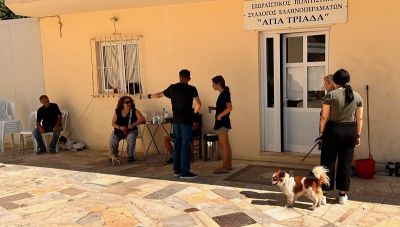 Μαλεβίζι: Με επιτυχία η δράση δωρεάν στειρώσεων από τη Zero Stray Pawject