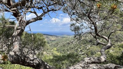 Κρήτη: Απογευματινή πεζοπορία στο φαράγγι της Κατσικαντάρας