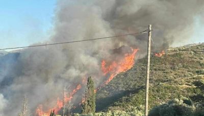 Φωτιά στα Μεσοχώρια Εύβοιας – Επιχειρούν δυνάμεις της πυροσβεστικής