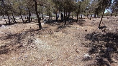 Βάση στην πρόληψη Πολιτικής Προστασίας δίνει ο Δήμος Χερσονήσου - Ολοκληρώθηκαν παρεμβάσεις αντιπυρικών ζωνών 