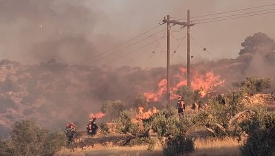 Πύρινος εφιάλτης στην Ιεράπετρα: Καρέ- καρέ η μάχη με τις φλόγες που συνεχίζεται από τις δυνάμεις πυρόσβεσης  (Φωτο + Βίντεο)