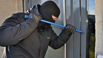 Kρήτη: Στα χέρια της ΕΛ.ΑΣ. οι αετονύχηδες που είχαν ρημάξει τα Χανιά