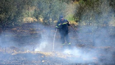 Πυροσβεστική: 36 φωτιές το τελευταίο 24ωρο στη χώρα