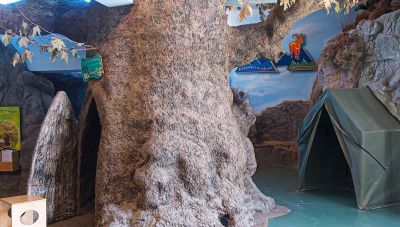 Μουσείο Φυσικής Ιστορίας Κρήτης: Σταδιακά μπαίνουν τα «κομμάτια του παζλ» στη θέση τους - Σε ποια φάση βρίσκονται οι εργασίες