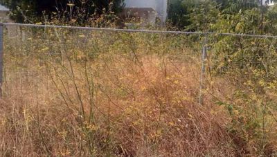 Ακαθάριστα Οικόπεδα: Πότε ξεκινούν οι έλεγχοι-Τι θα γίνει με τα πρόστιμα