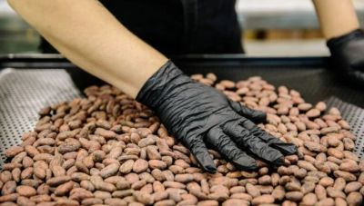 Κακάο: Σε έξαρση το λαθρεμπόριο λόγω των υψηλών τιμών