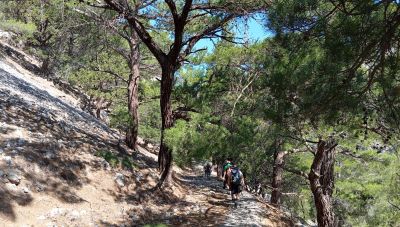 Στο πανέμορφο δάσος του Σελάκανου... (Φωτο)