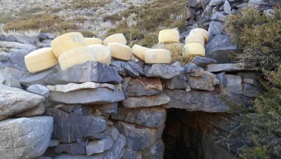 ΑΚΟΜΜ Ψηλορείτης: «Τυροκομία στον Ψηλορείτη: μια αναδρομή από το χθες στο σήμερα»