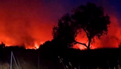 Χίος: Ολονύχτια μάχη με τις φλόγες – Κατέφθασαν και εθελοντές από Λέσβο – Στάχτη 62.000 στρέμματα