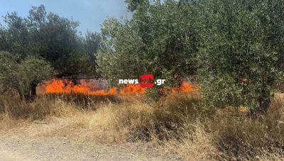 Ηράκλειο: Συναγερμός στην Πυροσβεστική για φωτιά στο Χάρακα