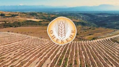 Σκάνδαλο ΟΠΕΚΕΠΕ: Νέος γύρος αντιπαράθεσης με φόντο τις επιδοτήσεις, τις βιολογικές καλλιέργειες και... τα μελίσσια