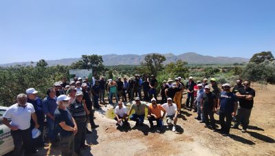 Μεσαρά: «Οι ζωντανοί ελαιώνες» δείχνουν το δρόμο για την προστασία του περιβάλλοντος και την αναβάθμιση του ελαιολάδου