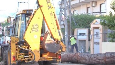 Δέντρο έπεσε σε αυτοκίνητο στην Κηφισιά
