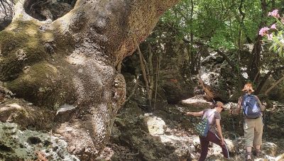 Χανιά: Συναγερμός στο φαράγγι του Δικτάμου – Επιχείρηση διάσωσης σε εξέλιξη