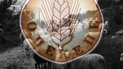 ΟΠΕΚΕΠΕ: Μετά την έναρξη της πρώτης δίκης για τις «ύποπτες» επιδοτήσεις στο «κάδρο» μπαίνουν και οι Κρητικοί της λίστας (Πίνακες)