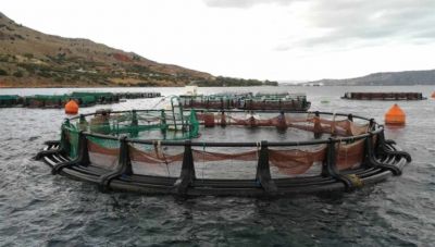 Χανιά: Κλοπή ψαριών και καταστροφή εξοπλισμού από μονάδα του ΕΛΚΕΘΕ στη Σούδα