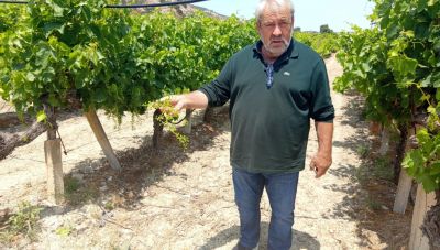 «Από τον ΣΥΡΙΖΑ ξεκίνησε το «πάρτε κόσμε»: Ο γνωστός Ηρακλειώτης Γιώργος Στειακάκης μιλάει για διαχρονικά σκάνδαλα των αγροτικών επιδοτήσεων