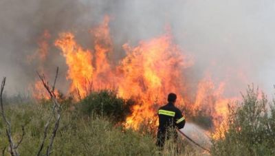 Συναγερμός στην Πυροσβεστική Υπηρεσία για φωτιά στον Καρτερό