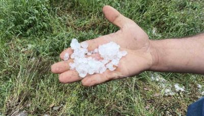 Μετά τις χαλαζοπτώσεις που έπληξαν την αγροτική παραγωγή της ενδοχώρας του Ηρακλείου οι αγρότες ακόμη περιμένουν τις αποζημιώσεις