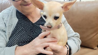 Ηράκλειο: Όταν η Μιλού, η Άννα, ο Μπέλο, η Ζίνα και ο Μπάμπης, πέρασαν το κατώφλι του γηροκομείου των Ιδρυμάτων Καλοκαιρινού