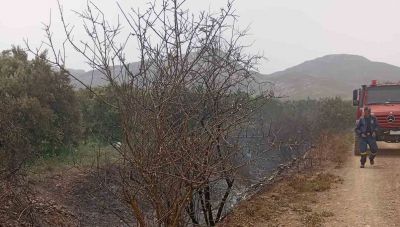 Μάχη με τις φλόγες: Υπό μερικό έλεγχο οι πυρκαγιές παρά τους ισχυρούς νοτιάδες (φωτο)