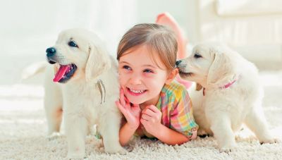 Συνεχίζεται ο κύκλος ομιλιών «Κοινωνία και Ζώα» από το Δήμο Ηρακλείου με ομιλήτρια την κτηνίατρο Κατερίνα Λουκάκη