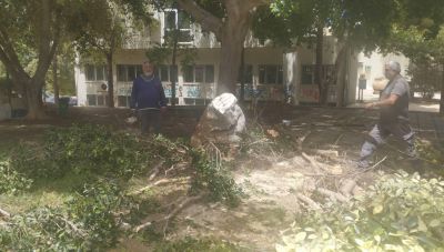 Ηράκλειο: ΄Έσπασε μεγάλο κλαδί από δέντρο στη Λ. Δημοκρατίας - Αναστάτωση στην περιοχή (φωτο)