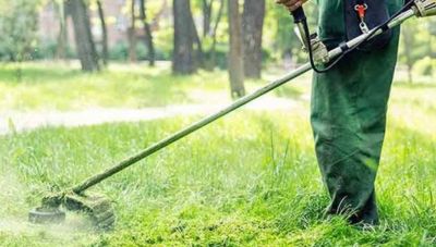 Χανιά: Παράταση στην υποχρέωση καθαρισμού των οικοπεδικών & ακάλυπτων χώρων έως τις 15 Ιουνίου 2025