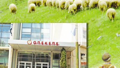 Σκάνδαλο στον ΟΠΕΚΕΠΕ: Οργανωμένο κύκλωμα πίσω από τις παράνομες επιδοτήσεις