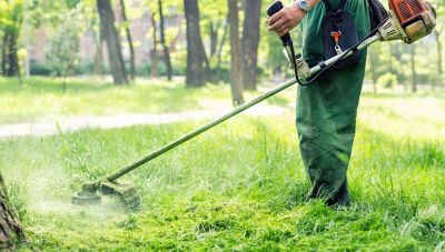 Χανιά: Παράταση στην υποχρέωση καθαρισμού των οικοπεδικών και ακάλυπτων χώρων έως 15 Ιουνίου