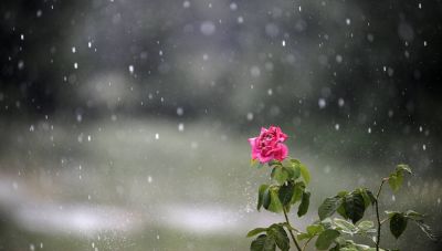 Και μετά την άνοιξη φθινόπωρο: 48ωρο με βροχές και καταιγίδες-«Δύσκολη» και η Παρασκευή με έντονα φαινόμενα