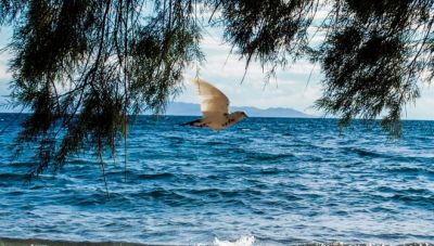 Αυτός θα είναι ο καιρός για το τριήμερο του Αγίου Πνεύματος