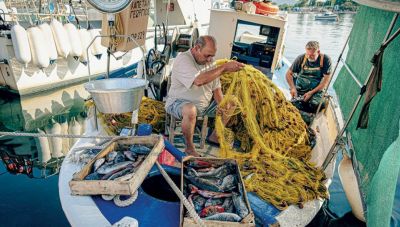 Καινοτομία στη Θάλασσα: Ενημερωτική Εκδήλωση για Ψαράδες και Ιχθυοκαλλιεργητές στο Πόρτο Λάγος