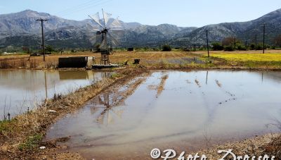 Οροπέδιο Λασιθίου: Μεγάλες καταστροφές σε καλλιέργειες και ζωικό κεφάλαιο (Φωτο)