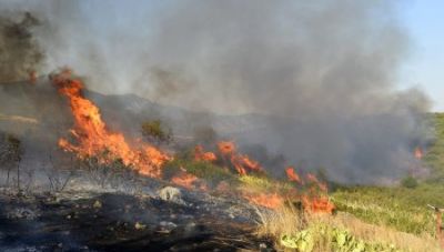 Χανιά: Συναγερμός στην Πυροσβεστική - Φωτιά στον Καλαθά Ακρωτηρίου