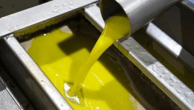 Η αύξηση της παραγωγής λαδιού σε όλη τη Μεσόγειο οδηγεί σε αποκλιμάκωση τιμής