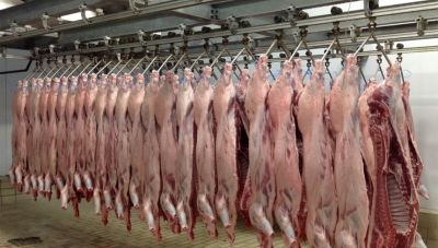 Η ευλογιά στα αιγοπρόβατα και οι επιπτώσεις στην αγορά: Οι ανησυχίες των κρεοπωλών