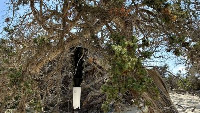 Αυτοψία στη νήσο Χρυσή  από την Αποκεντρωμένη Διοίκηση Κρήτης - Ποιος ο σκοπός της, τα επόμενα βήματα