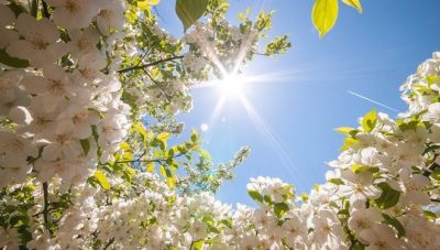 Σίβα και Πετροκεφάλι στις περιοχές με τις υψηλότερες θερμοκρασίες σήμερα-Ζέστη και σκόνη το Σάββατο