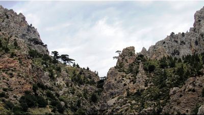 Κρήτη: Πεζοπορία στο φαράγγι Ορεινού ή αλλιώς των Πεταλούδων