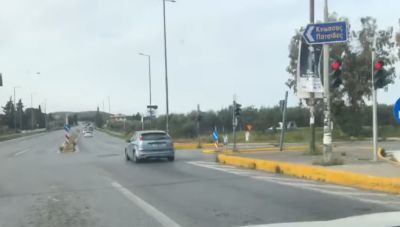 Ηράκλειο: Συνεχίζουν να παραβιάζουν συστηματικά το φωτεινό σηματοδότη στο Σκαλάνι - Περνούν με κόκκινο! (Βίντεο)