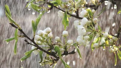 Άστατος από σήμερα ο καιρός-Που θα βρέξει το Σαββατοκύριακο