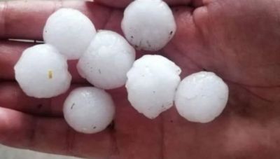 Σφοδρή χαλαζόπτωση στην Εύβοια - Χαλάζι σε μέγεθος φουντουκιού