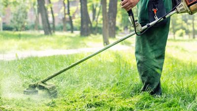 Δήμος Φαιστού: Όλα όσα πρέπει να ξέρουν οι πολίτες για τον καθαρισμό οικοπέδων – Πρόστιμα και ποινές