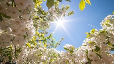 Ανεβαίνει και άλλο η θερμοκρασία σήμερα-Πρόγνωση καιρού ως τη Δευτέρα