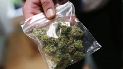 ΕΟΠΑΕ: Οι σοβαρές επιπτώσεις της χρήσης κάνναβης στους νέους