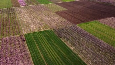 ΕΕ: «Λιγότερη γραφειοκρατία» για τους αγρότες