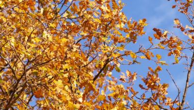 Λιακάδα με ελάχιστες νεφώσεις την Παρασκευή-Ισχυροί άνεμοι έως 7 μποφόρ στο Αιγαίο