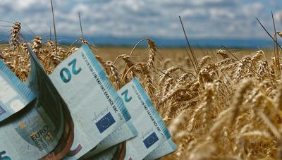 ΟΠΕΚΕΠΕ: Ξεκινούν σήμερα το απόγευμα οι πληρωμές - Ποιοι πάνε ταμείο